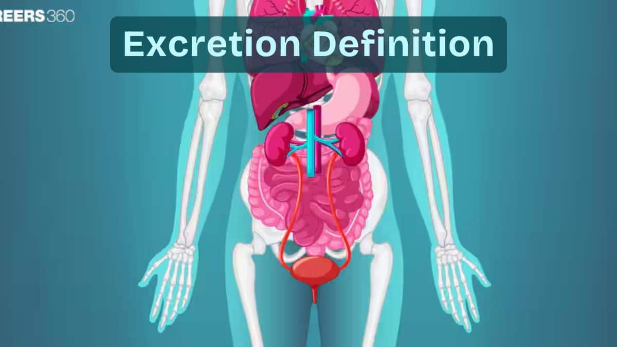 Excretion Definition: Systems, Examples, Importance & Facts